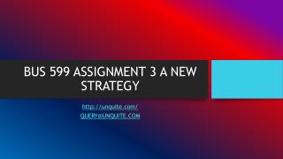 BUS 599 ASSIGNMENT 3 A NEW STRATEGY