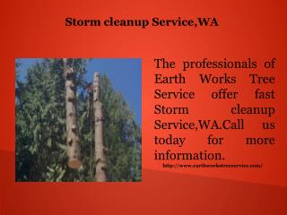 Storm cleanup Service,WA