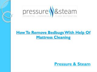 How To Remove Bedbugs With Help Of Mattress Cleaning