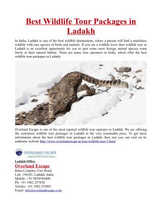Best Wildlife Tour Packages in Ladakh