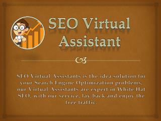 What to Expect From a Professional SEO Virtual Assistants
