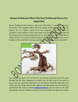 Bonsai Driftwood Offers The Best Driftwood Pieces For Aquarium