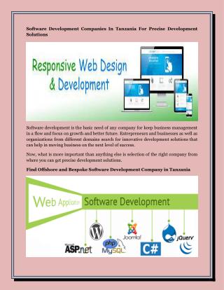 Software Development Companies In Tanzania For Precise Development Solutions