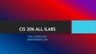 CIS 206 ALL ILABS