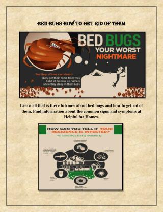 Best Way to Kill Bed Bugs