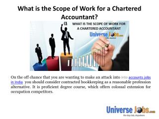 What is the Scope of Work for a Chartered Accountant?