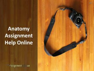 Anatomy Assignment Help Online
