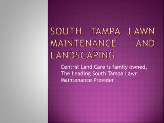 South Tampa landscaping & landscape lighting service