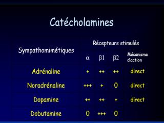 Recommandations générales :