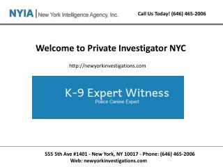 New york private investigation