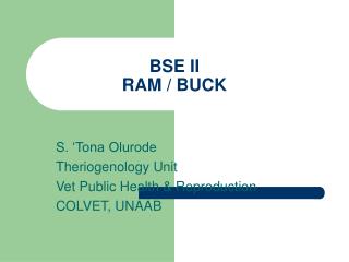 BSE II RAM / BUCK