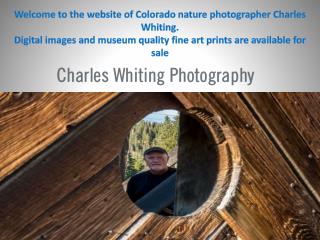 Digital images and museum quality fine art prints are available for sale