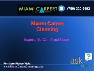 Professional Carpet Cleaning Service,