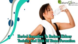 Herbal Remedies To Reduce Kidney Toxicity And Risk Of Stone Formation