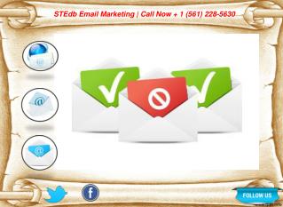 Email Marketing Service Provider USA