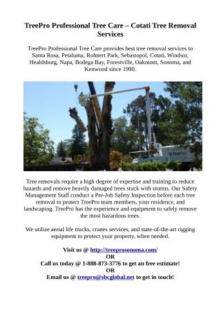 cotati tree removal