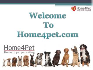 Pet Food, Accessories and Services @ home4pet