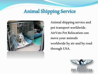 Animal Shipping Service