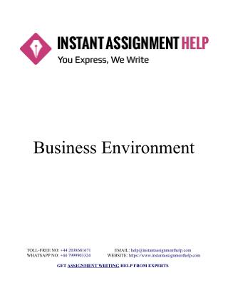 Sample Document on Business Environment - Instant Assignment Help