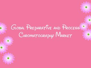 Global Preparative and Process Chromatography Market