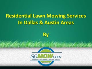 Lawn Maintenance Dallas