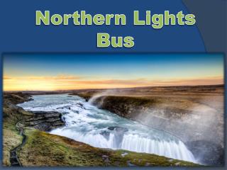 Northern lights bus