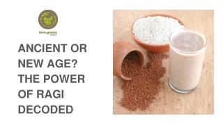 Ancient Or New Age? The Power of Ragi Decoded