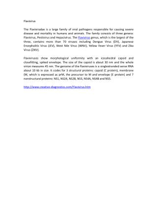 Flavivirus