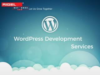 WordPress Development Services