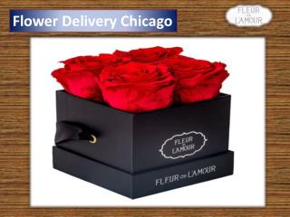 Flower Delivery Chicago