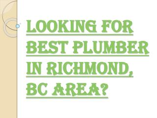 Looking for Best Plumbing Services in Richmond, BC Area?