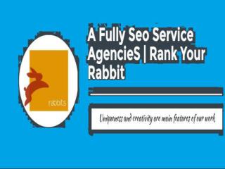 A full service digital marketing agency by Rank Your Rabbit