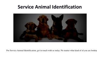 Service Dog Registration