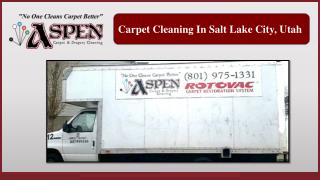 Carpet Cleaning In Salt Lake City, Utah