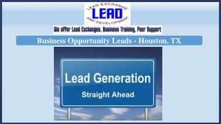 Business Opportunity Leads - Houston, TX