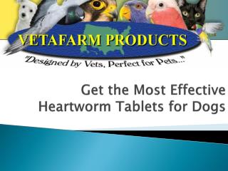 Get the Most Effective Heartworm Tablets for Dogs