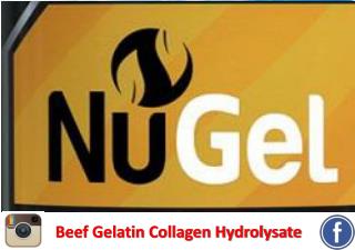 Beef Gelatin Collagen Hydrolysate