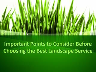Important Points to Consider Before Choosing the Best Landscape Service