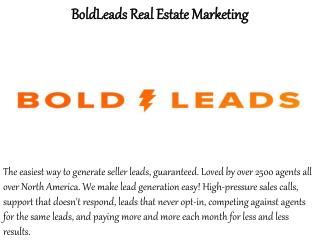 Bold Leads Review - How to Plan Your Real Estate Marketing Strategy