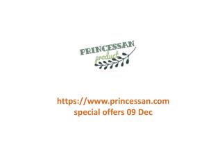 www.princessan.com special offers 09 Dec