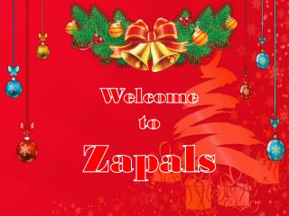 Special Christmas Sale at Zapals