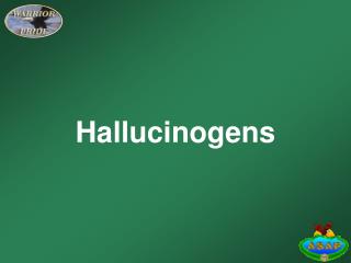 Hallucinogens