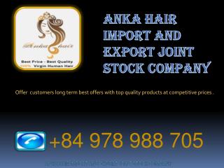 100% Virgin Human Hair Extension Vietnam