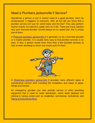 Plumbers jacksonville fl |Plumbers services