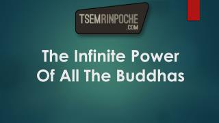 The Infinite Power Of All The Buddhas