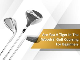 Are you a tiger in the woods golf coursing for beginners