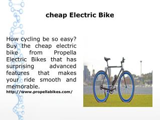 cheap Electric Bike
