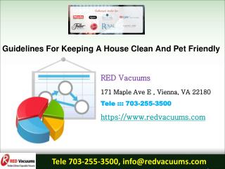 Guidelines For Keeping A House Clean And Pet Friendly