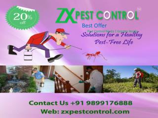 Reliable Termite Treatment in Noida Call 9899176888