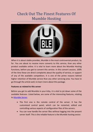 Check Out The Finest Features Of Mumble Hosting